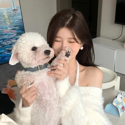 绝命塔罗牌